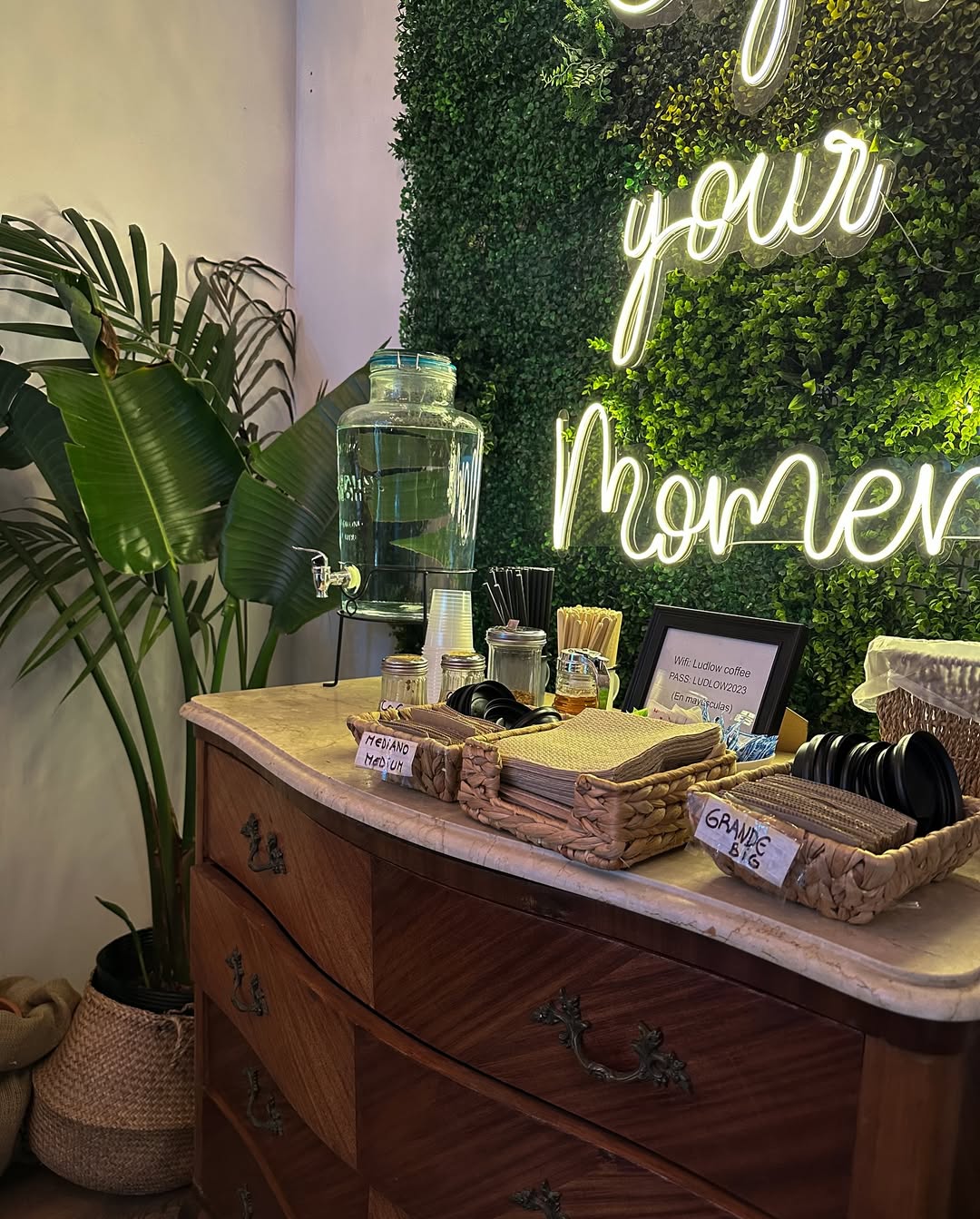 Interior acogedor con asientos cómodos